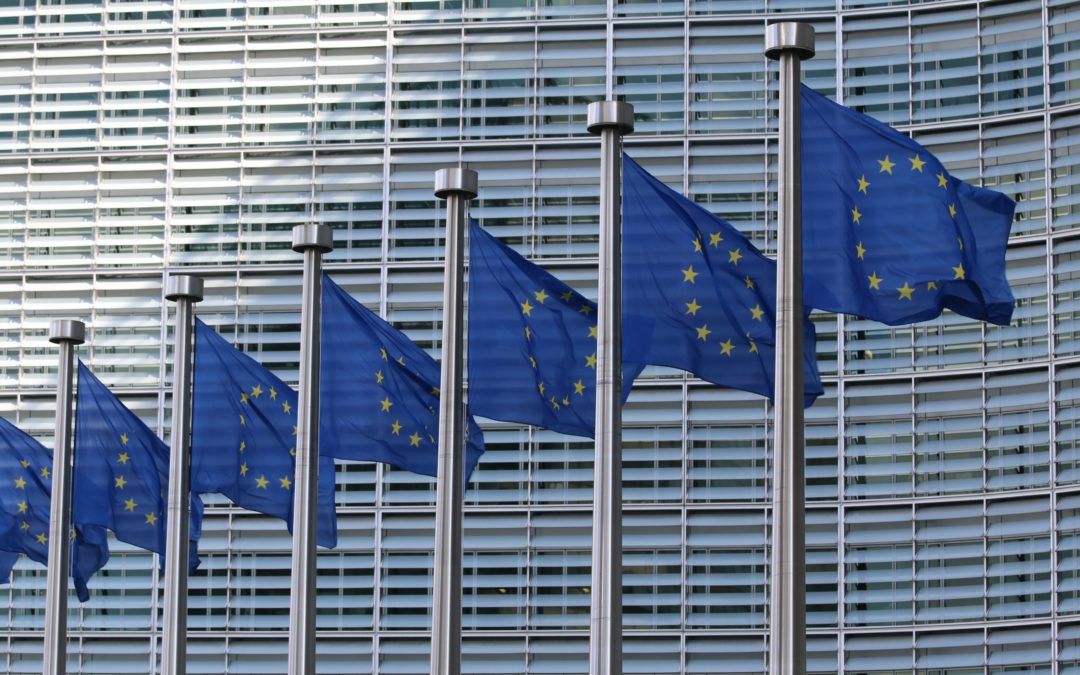 Digital Services Act: Ecommerce Europe’s comments on the ongoing negotiations