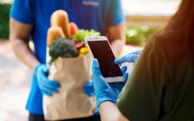 Why are the 10 minutes e-grocery companies so successful?