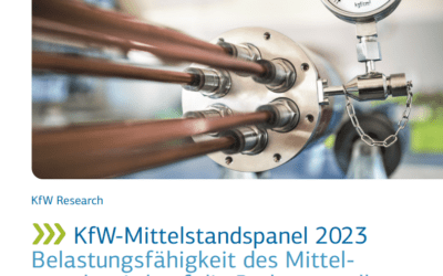 KfW-Mittelstandspanel 2023