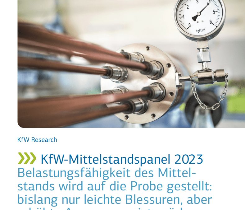 KfW-Mittelstandspanel 2023