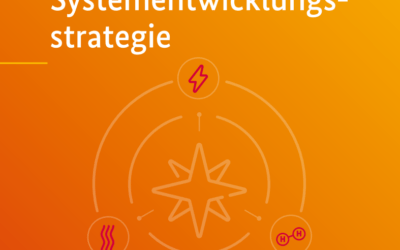Zwischenbericht der Systementwicklungsstrategie