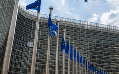Single Market Strategy Report