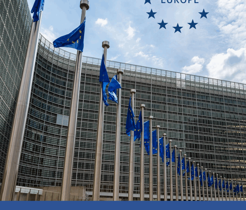 Single Market Strategy Report